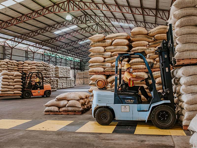 GranSur Warehouse for Purchase and Sale of cocoa beans